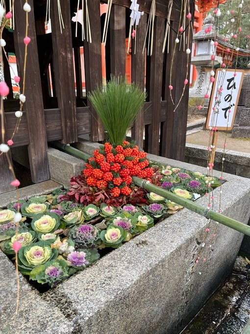 普段から寺社仏閣に足の画像