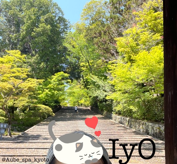 &#x1F34A;5/8(木)京都の画像