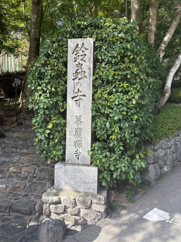 27日(月)満了28日(火)の画像