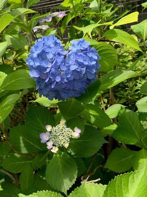 瀬川の日記