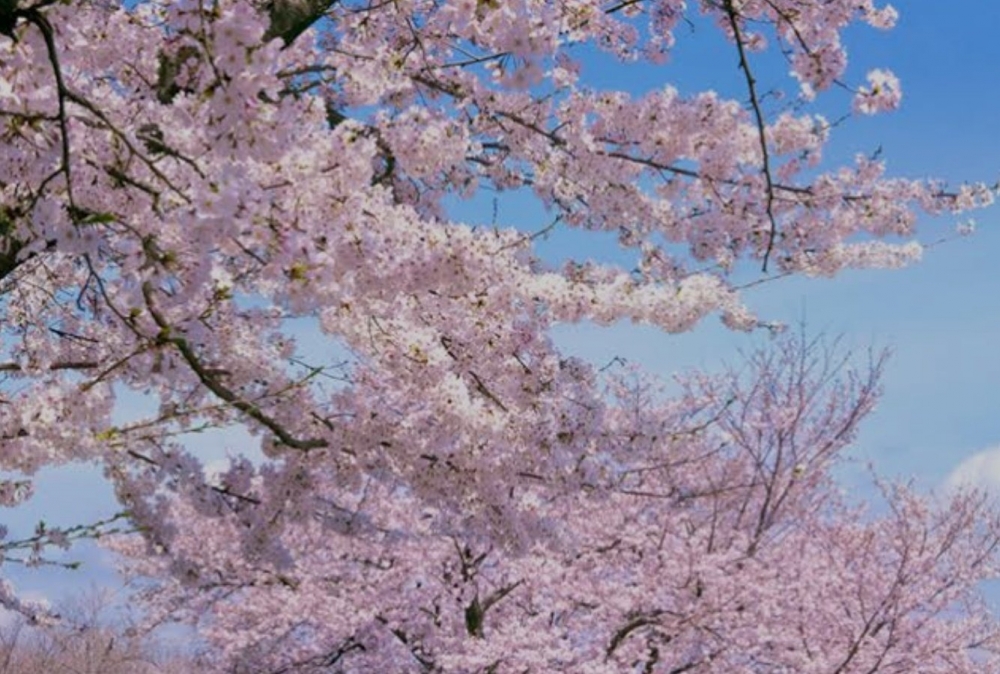 おはようございます☺️の画像