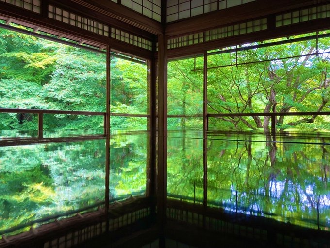 伊予の日記