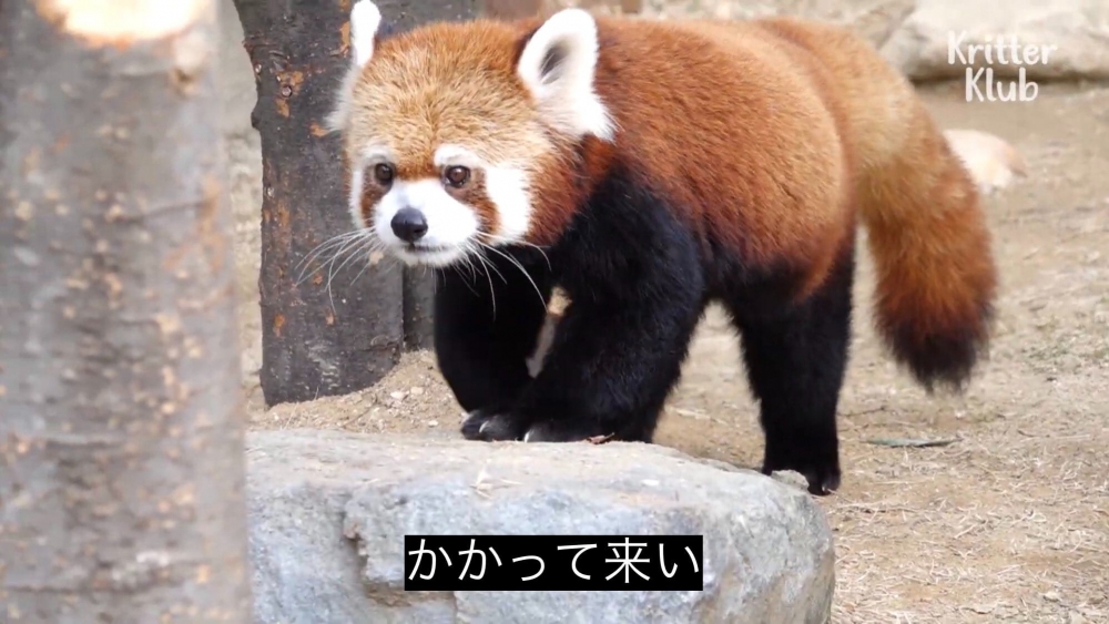 水瀬　さやかの日記
