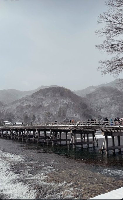 めっちゃ綺麗でした。の画像