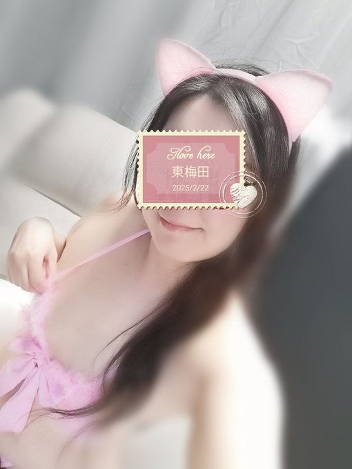 猫の日&#x1F408;&#x1Fの画像