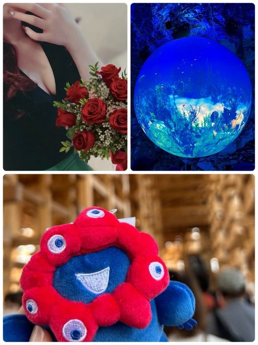 こんばんは&#x1F984;&の画像