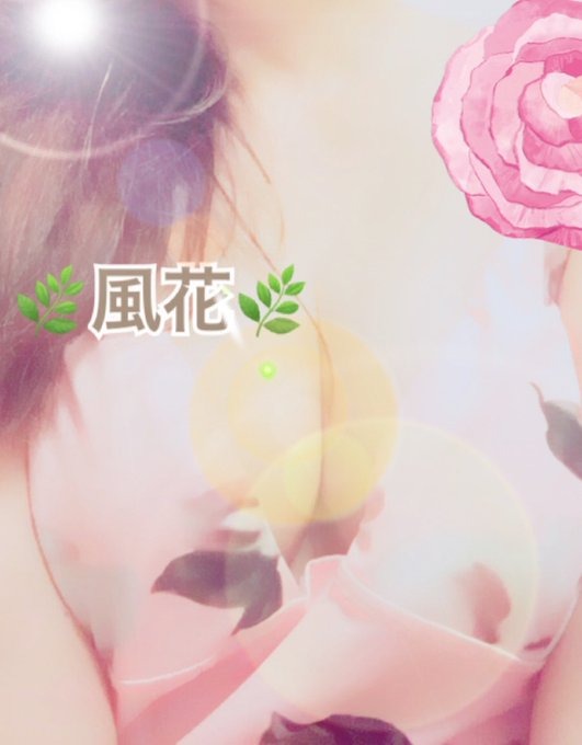 ❤️お礼❤️⚜️リピさま⚜️の画像