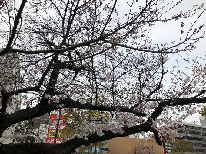 高宮、本日出勤です&#の画像