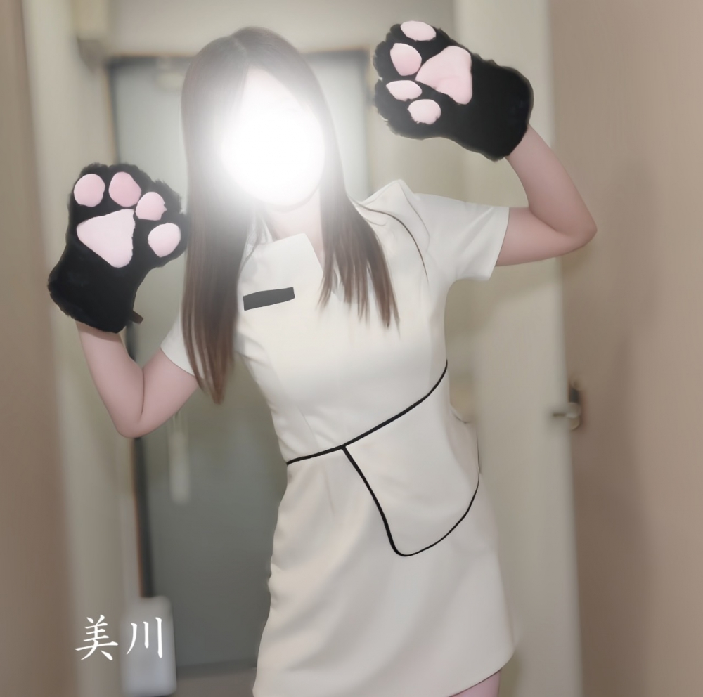 次回ご案内は6日(月)1の画像