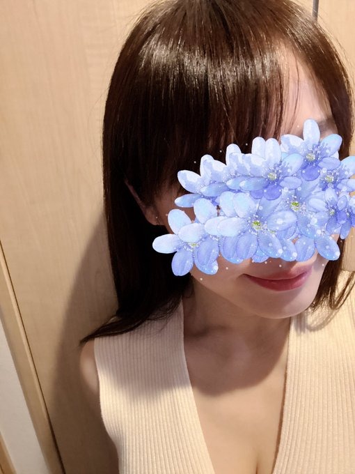 こんにちは&#x1F3B6;の画像