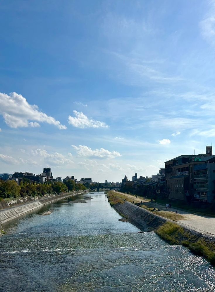 彩子(あやこ)の日記