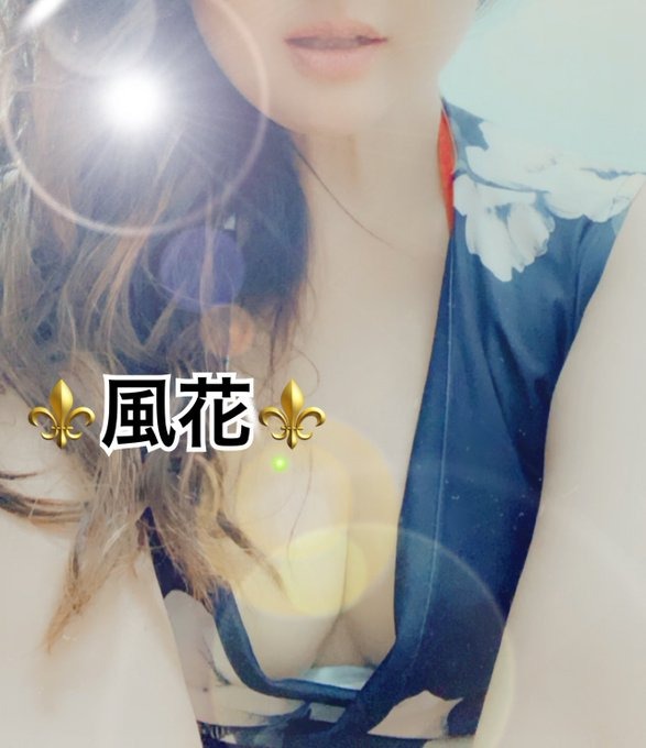 ❤️お礼❤️⚜️会員様⚜️おの画像