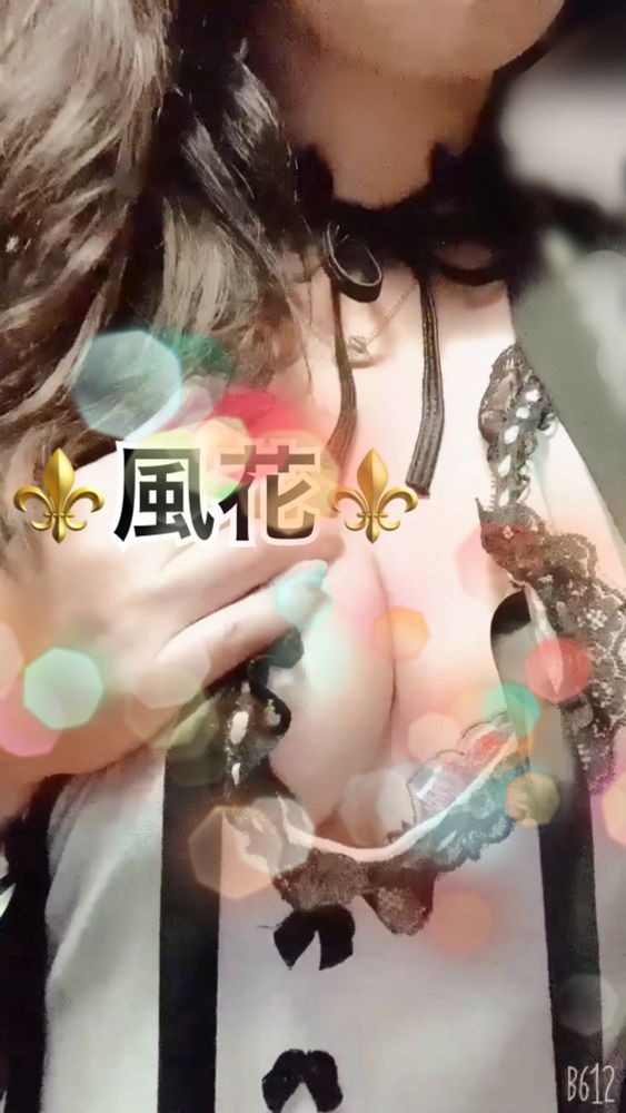 ⚜️&#x1F233;情報⚜️ごの画像