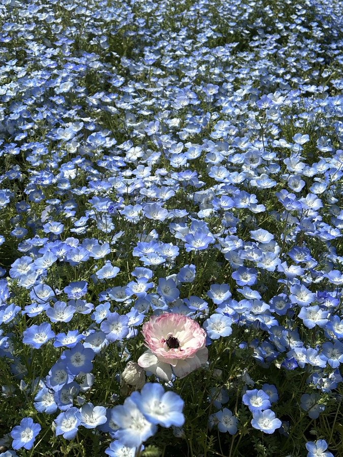 こんばんは&#x1F3B6;の画像