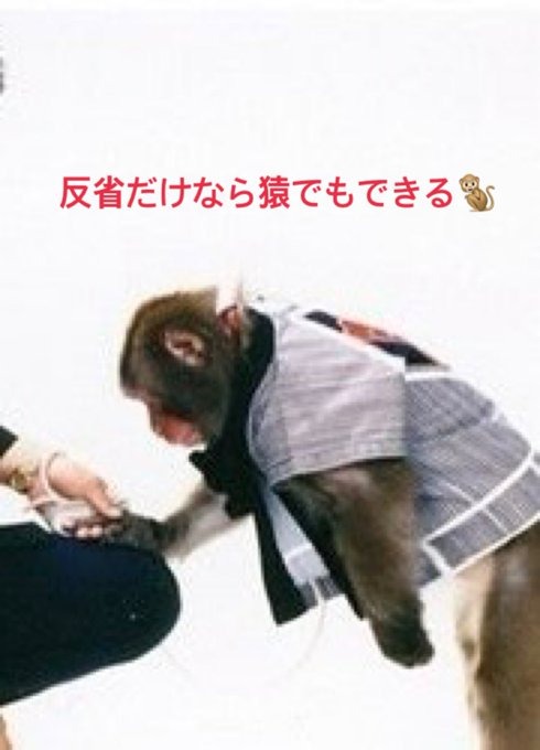瀬川の日記