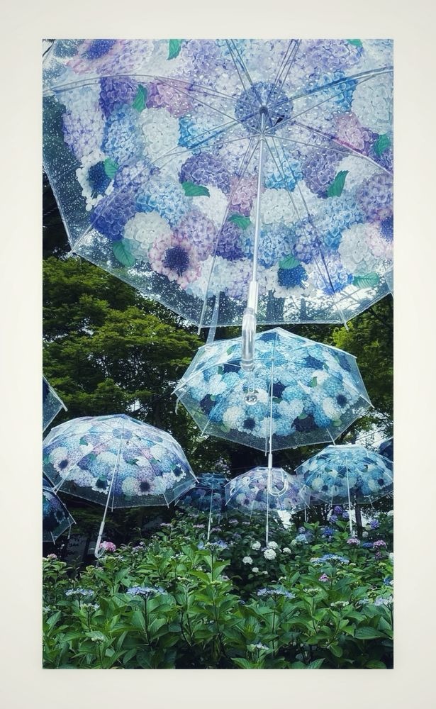 京都が増えて来たのでの画像