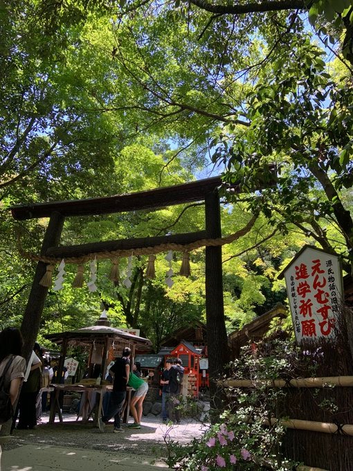 　いつもありがとうごの画像