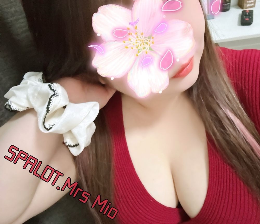 今日も元気に出勤しまの画像