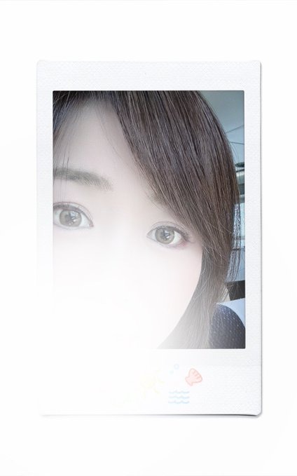 琴葉の日記