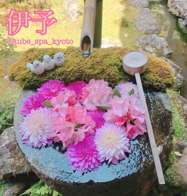 &#x1F34A;5/11(日)京の画像