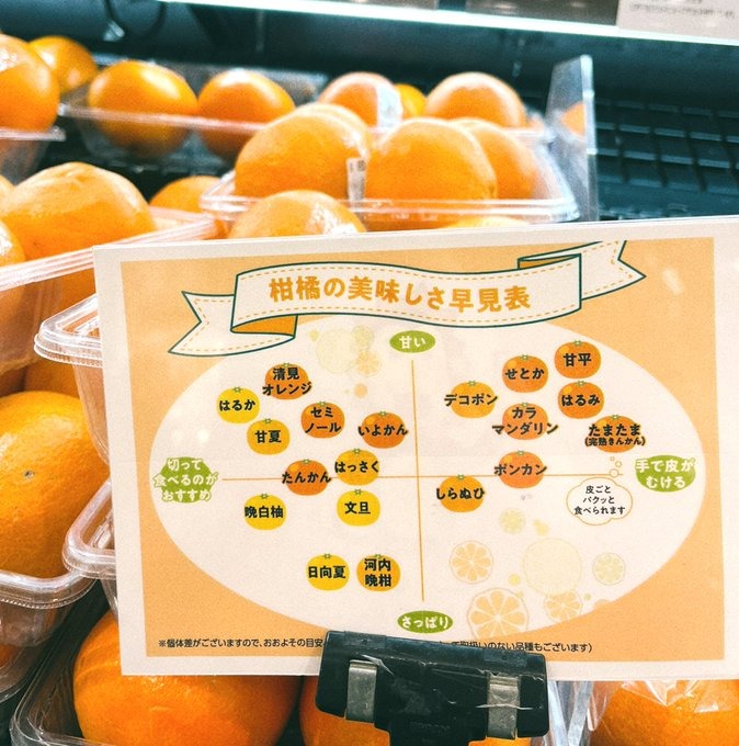 &#x1F34A;3/8(土)京都の画像