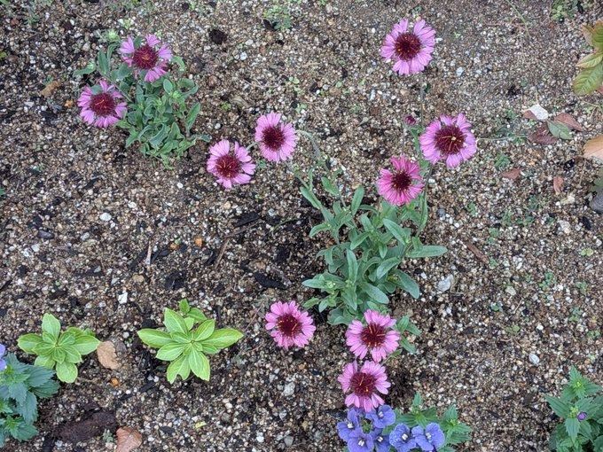 12時20分~ご予約いたの画像