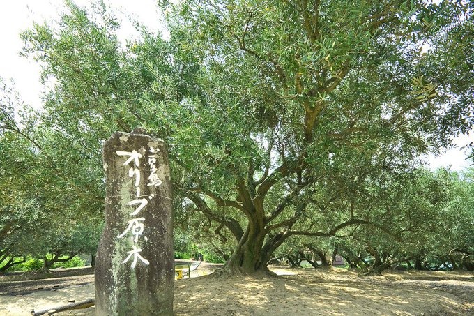 瀬川の日記