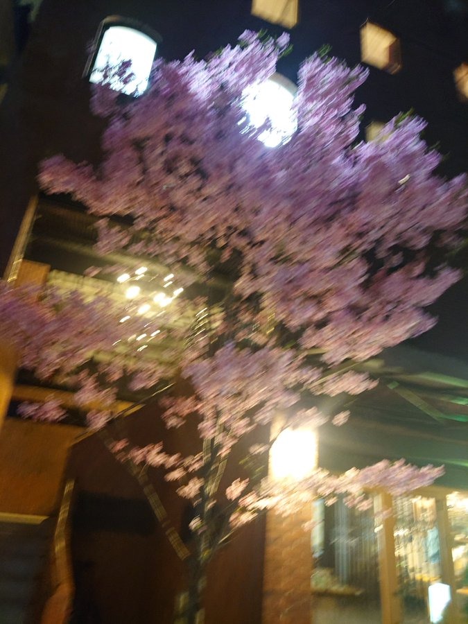 さっき部屋に到着前にの画像