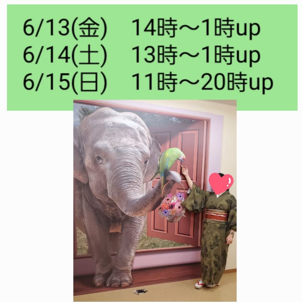 6/10(火)13時現在の洋の画像