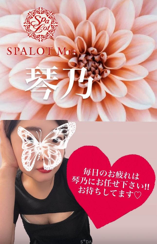 🆕新しいスケの画像