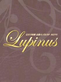 Lupinus(ルピナス)