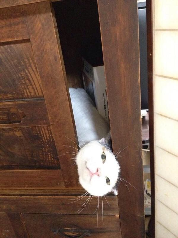 ゆっけ